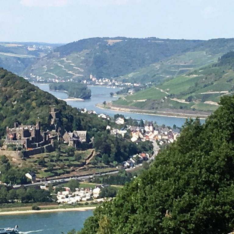 Pensjonat Landgasthof Germania Rüdesheim nad Renem Zewnętrze zdjęcie