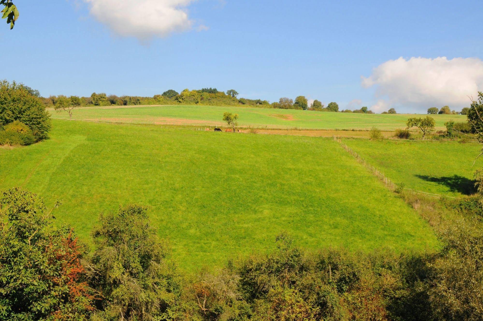 Pensjonat Landgasthof Germania Rüdesheim nad Renem Zewnętrze zdjęcie